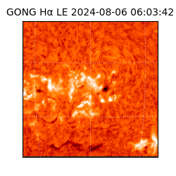 gong - 2024-08-06T06:03:42