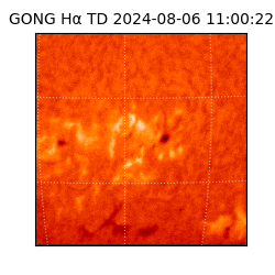gong - 2024-08-06T11:00:22