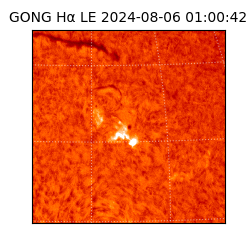 gong - 2024-08-06T01:00:42