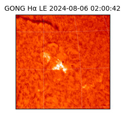 gong - 2024-08-06T02:00:42