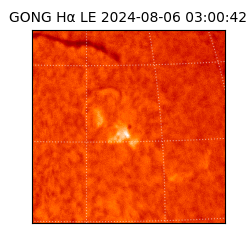 gong - 2024-08-06T03:00:42