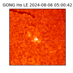 gong - 2024-08-06T05:00:42