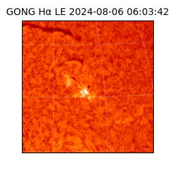 gong - 2024-08-06T06:03:42