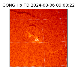 gong - 2024-08-06T09:03:22