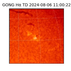 gong - 2024-08-06T11:00:22