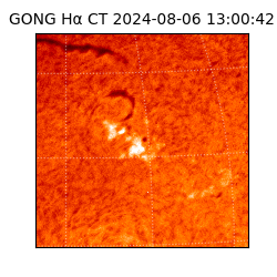 gong - 2024-08-06T13:00:42