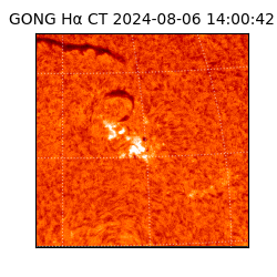 gong - 2024-08-06T14:00:42