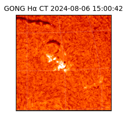 gong - 2024-08-06T15:00:42