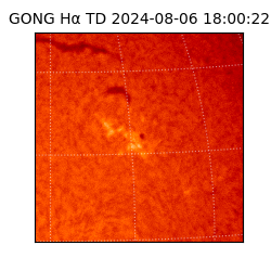 gong - 2024-08-06T18:00:22