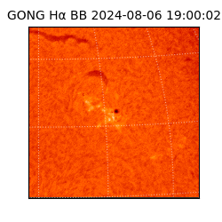 gong - 2024-08-06T19:00:02