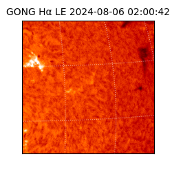 gong - 2024-08-06T02:00:42