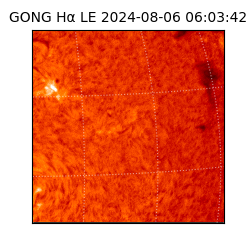 gong - 2024-08-06T06:03:42