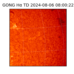 gong - 2024-08-06T08:00:22