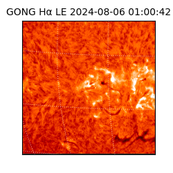 gong - 2024-08-06T01:00:42