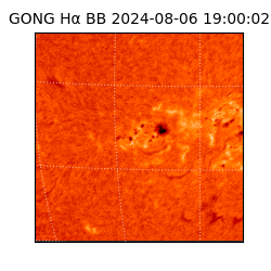 gong - 2024-08-06T19:00:02
