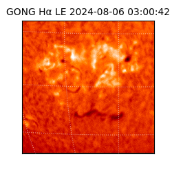 gong - 2024-08-06T03:00:42