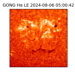gong - 2024-08-06T05:00:42