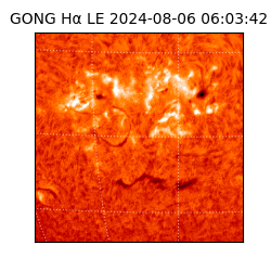 gong - 2024-08-06T06:03:42