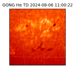 gong - 2024-08-06T11:00:22