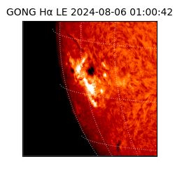 gong - 2024-08-06T01:00:42