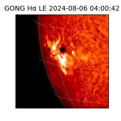 gong - 2024-08-06T04:00:42