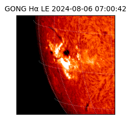 gong - 2024-08-06T07:00:42