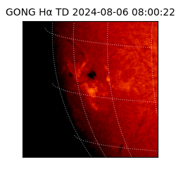 gong - 2024-08-06T08:00:22