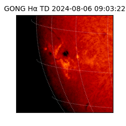 gong - 2024-08-06T09:03:22