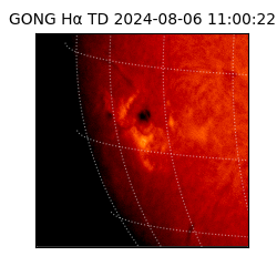 gong - 2024-08-06T11:00:22