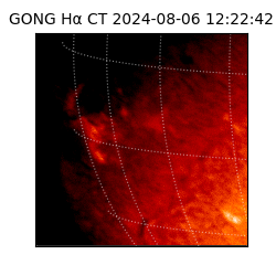 gong - 2024-08-06T12:22:42