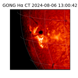 gong - 2024-08-06T13:00:42