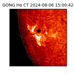 gong - 2024-08-06T15:00:42