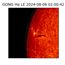 gong - 2024-08-06T02:00:42