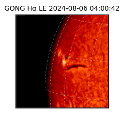 gong - 2024-08-06T04:00:42