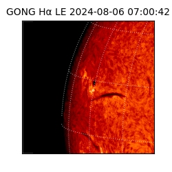 gong - 2024-08-06T07:00:42