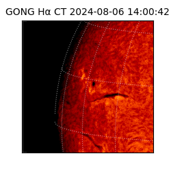 gong - 2024-08-06T14:00:42