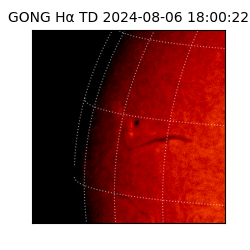 gong - 2024-08-06T18:00:22