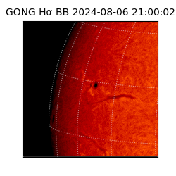 gong - 2024-08-06T21:00:02
