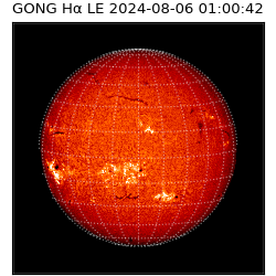 gong - 2024-08-06T01:00:42