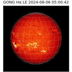 gong - 2024-08-06T05:00:42