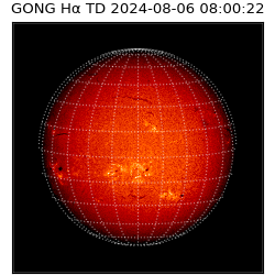 gong - 2024-08-06T08:00:22