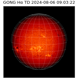 gong - 2024-08-06T09:03:22