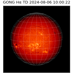gong - 2024-08-06T10:00:22