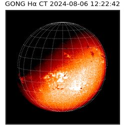 gong - 2024-08-06T12:22:42