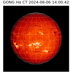 gong - 2024-08-06T14:00:42