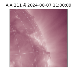 saia - 2024-08-07T11:00:09.632000