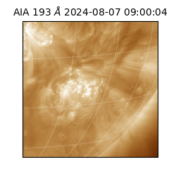 saia - 2024-08-07T09:00:04.835000