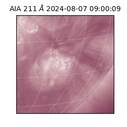 saia - 2024-08-07T09:00:09.618000