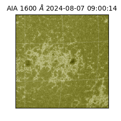 saia - 2024-08-07T09:00:14.124000