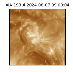 saia - 2024-08-07T09:00:04.835000